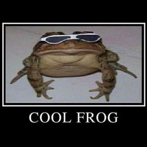 Meet your Posher, Zach